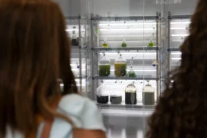 ACIISI celebra cierre de NextAgora 2026 con 23 jóvenes investigadores